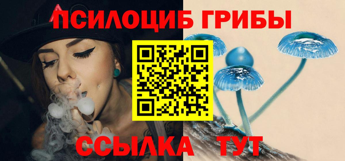 Мирный  Галлюциногенные грибы MAGIC MUSHROOMS  Вход с VPN  Псилоцибиновые грибы Psilocybine cubensis 